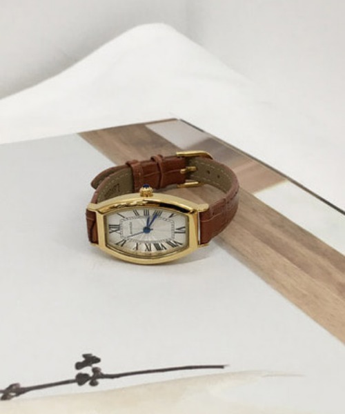 howell watch (brown)